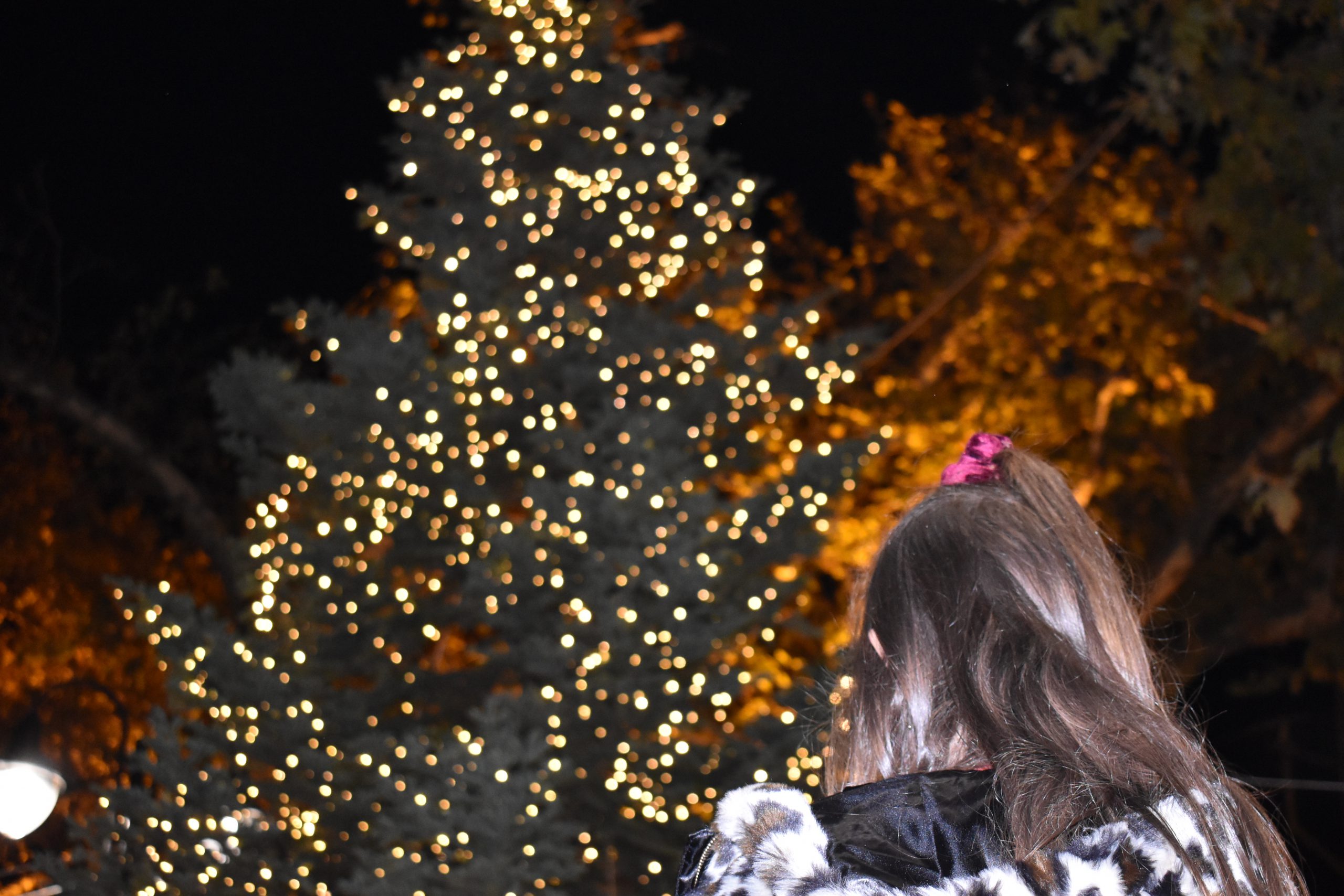 Φωταγωγήσαμε  τα Χριστουγεννιάτικα Δέντρα στις 4 Δημοτικές Κοινότητες του Δήμου μας!