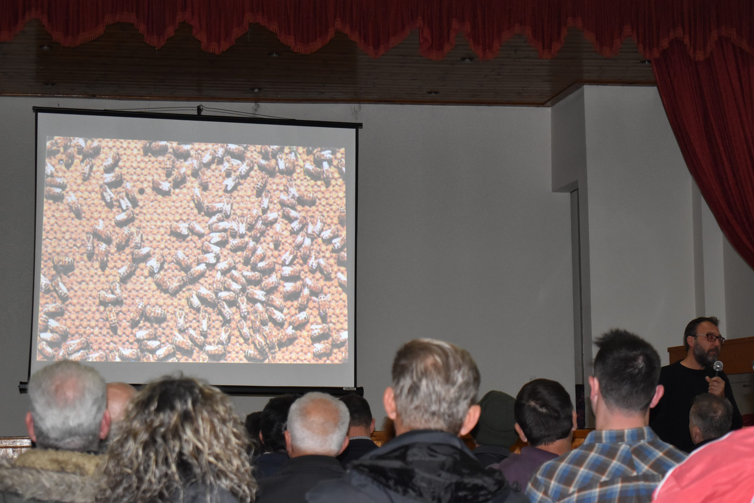 Πραγματοποίηση εσπερίδας με θέμα «Στοιχεία των βασικών ασθενειών των μελισσών και νεότερα ερευνητικά δεδομένα»