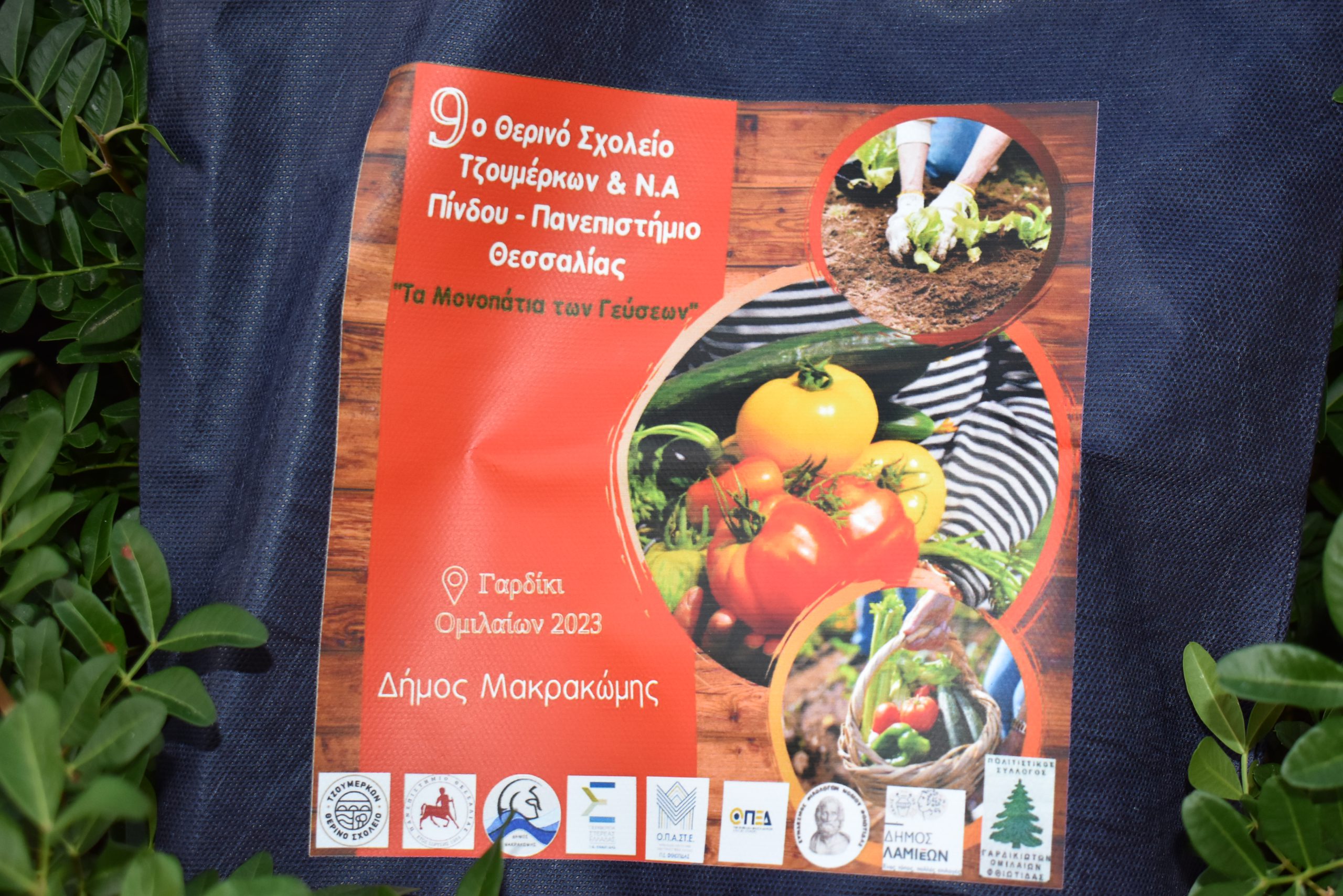 Με μεγάλη επιτυχία πραγματοποιήθηκε το 9 ο Θερινό Σχολείο Τζουμέρκων & Ν.Α. Πίνδου στο γραφικό Γαρδίκι Ομιλαίων του Δήμου Μακρακώμης με θέμα: “Μονοπάτια Γεύσεων”.