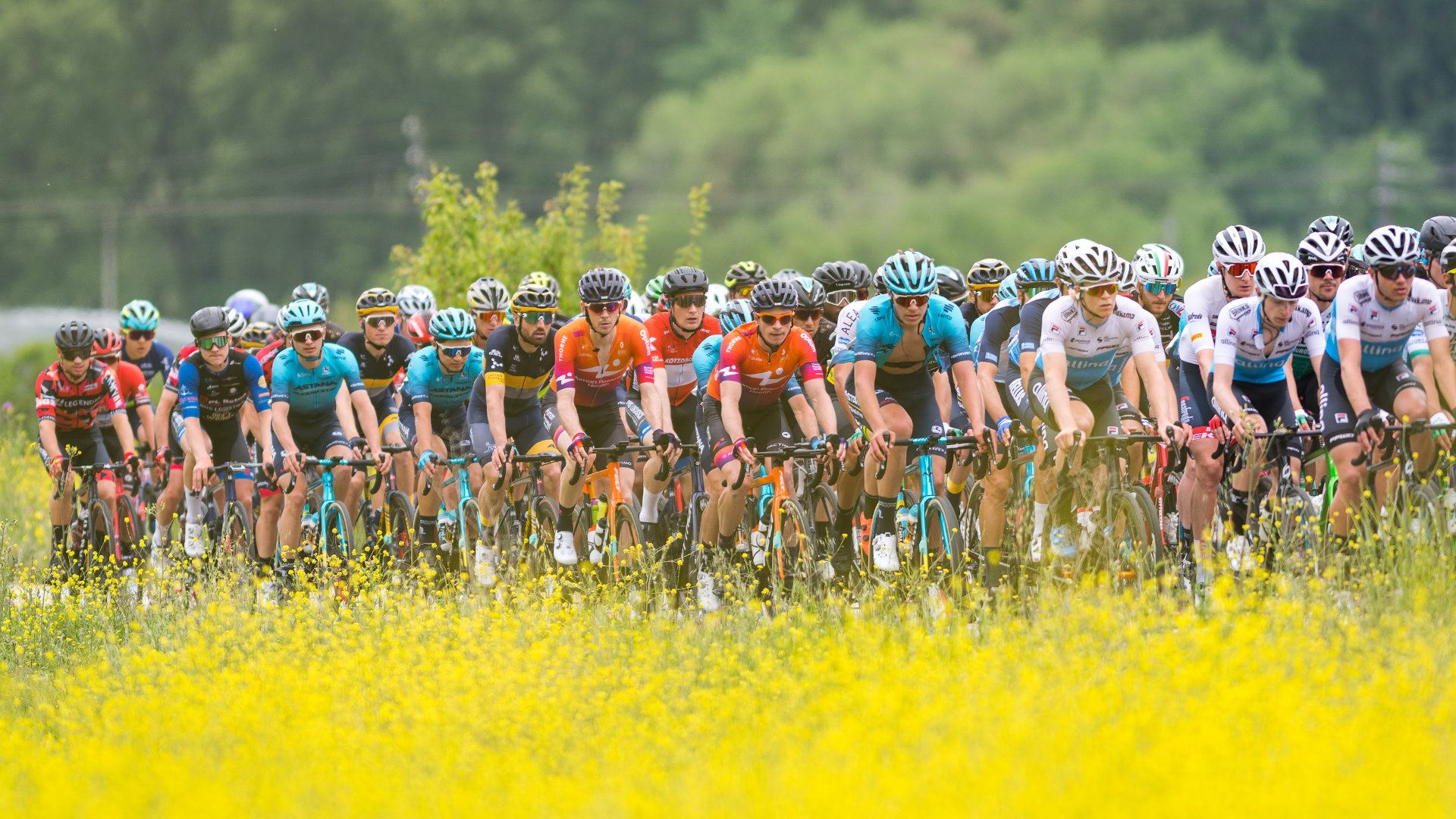 ΔΕΗ Διεθνής Ποδηλατικός Γύρος Ελλάδας 2024: Η Σπερχειάδα και ο Δήμος Μακρακώμης στο επίκεντρο της παγκόσμιας αγωνιστικής ποδηλασίας