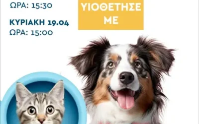 Δράση υιοθεσίας αδέσποτων στο Circus Street Food Festival