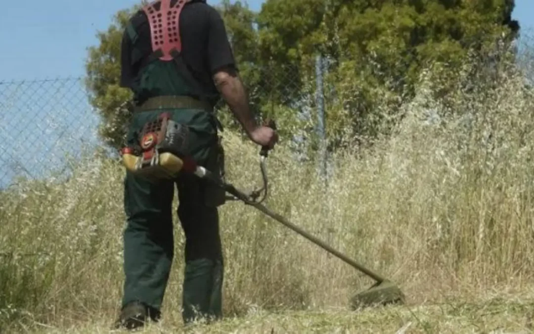 Καθαρισμός οικοπέδων από τους ιδιοκτήτες ενόψει της αντιπυρικής περιόδου 2026