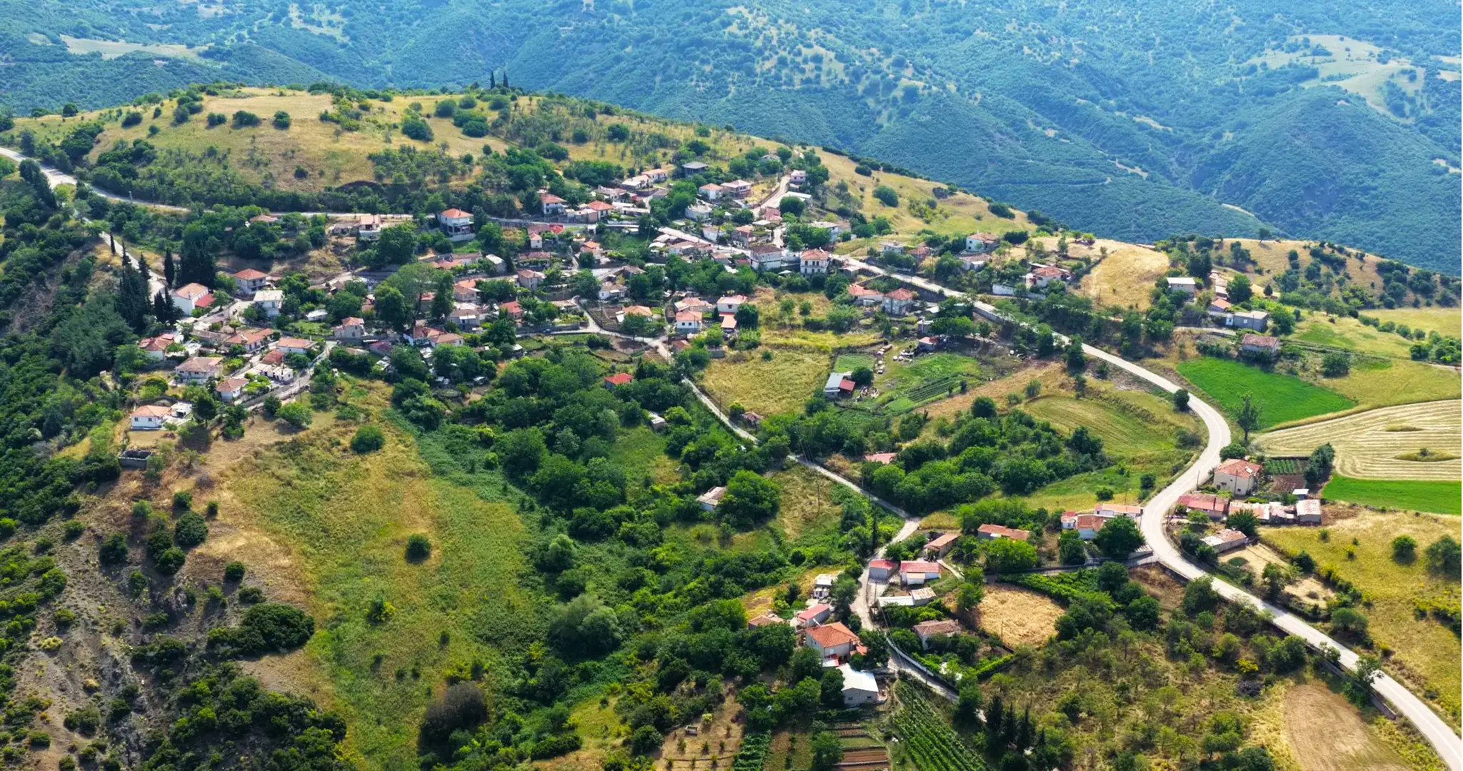 trilofo